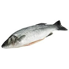 Sea Bass